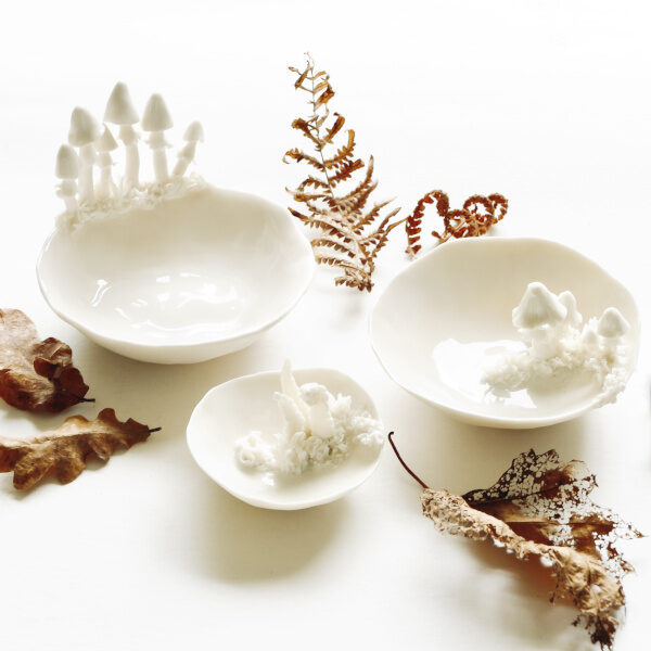 Herfstset met Nausika Raes - 29 november